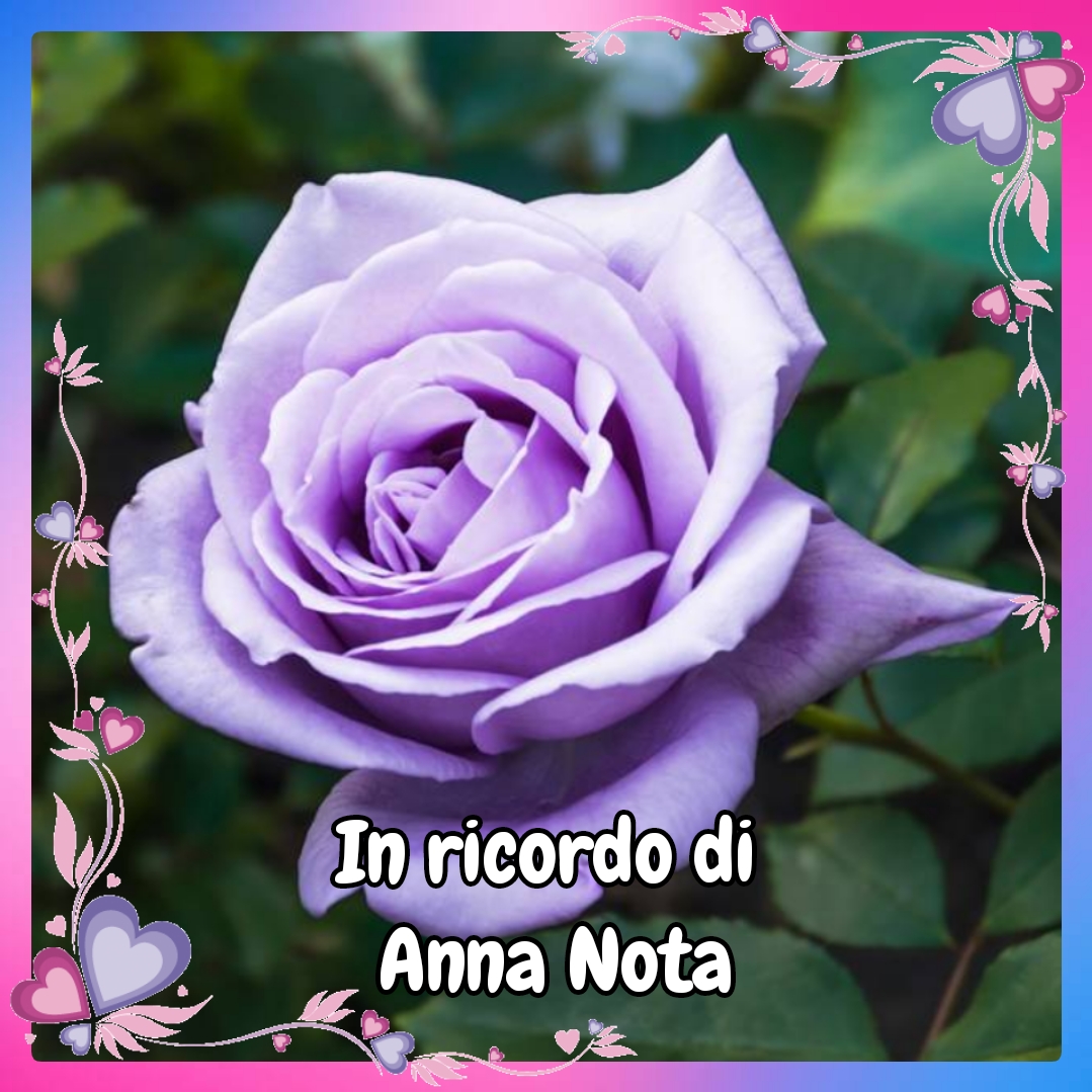 anna-nota