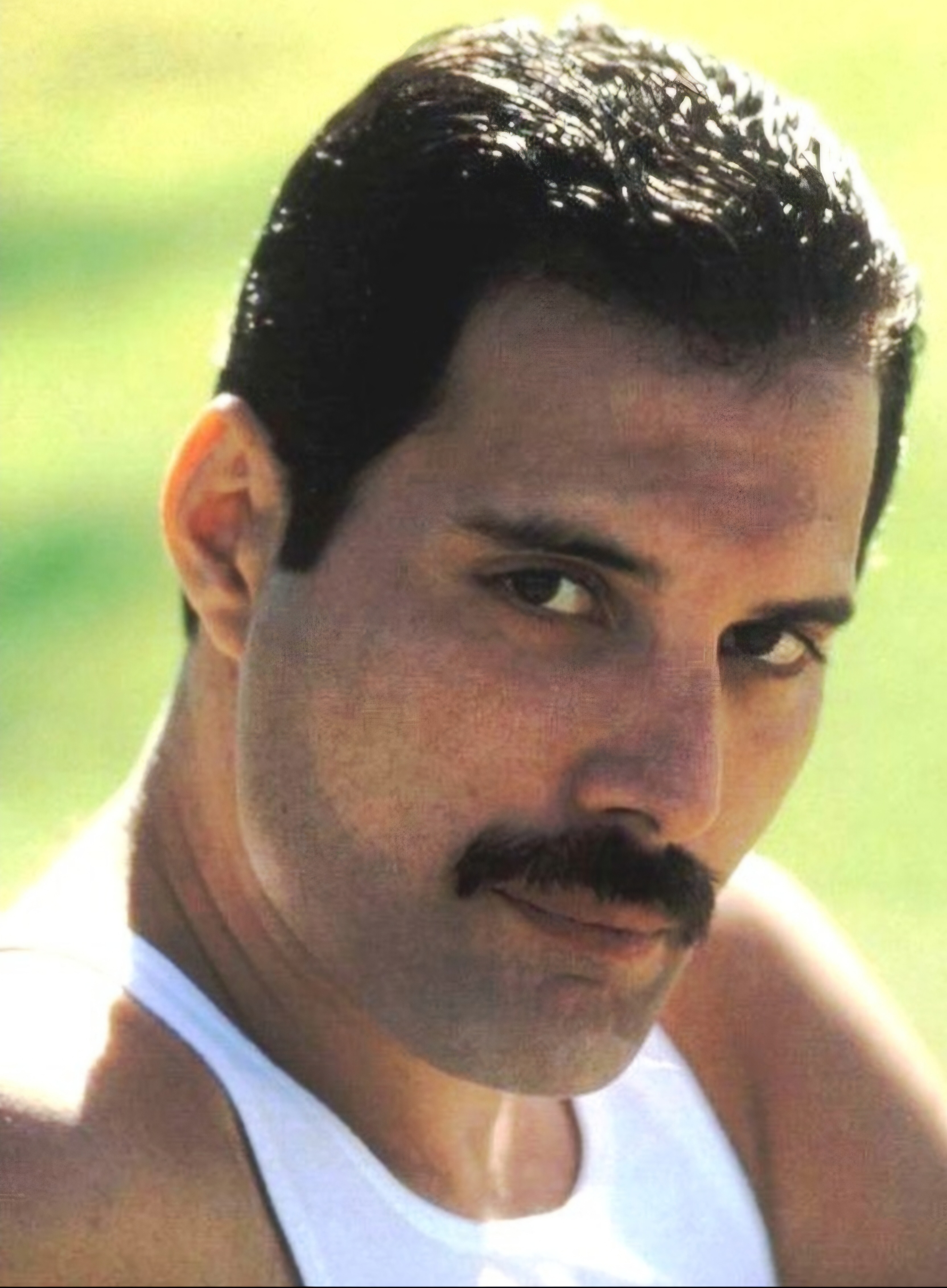 freddie-mercury